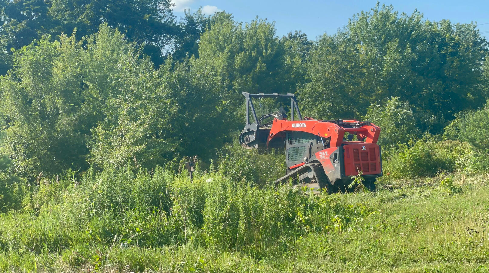 Clearing Brush, Small Trees, High Grass