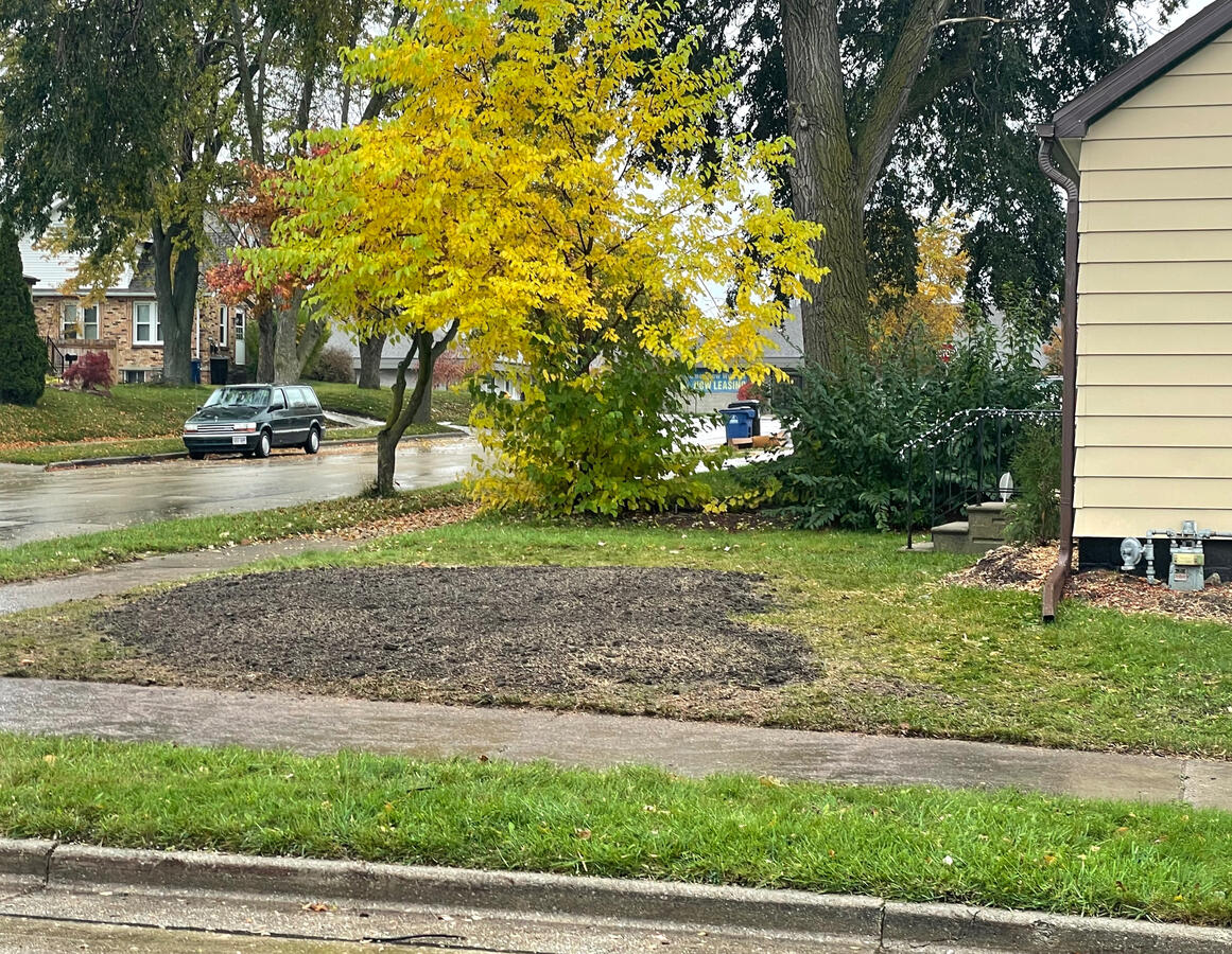 Job Site After Tree Removal